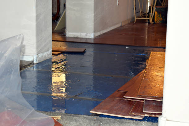 Professional Burst Pipe Cleanup technician working in Long Beach, MS